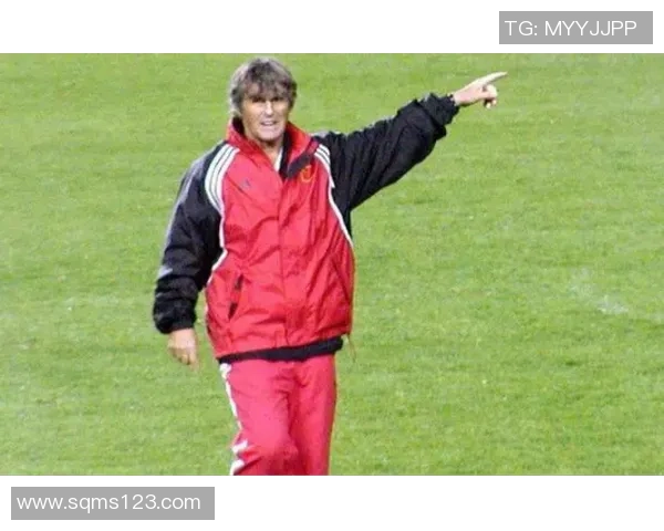 谢菲尔德星期三与卢顿的精彩对决结果揭晓引发球迷热议