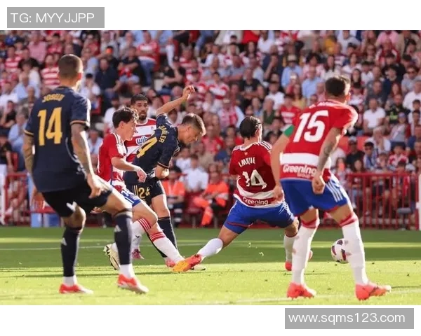 特鲁瓦主场迎战勒阿弗尔两队争夺法乙积分榜重要战役